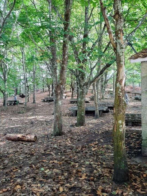 Appartamento O Fogar Moaña Esterno foto